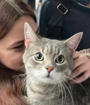 «Виїхати-з-окупації».-Як-подружжя-переселенців-евакуювало-тисячі-людей