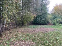 Громада на Волині віддає комунальні ділянки під забудову Громада-на-Волині-віддає-комунальні-ділянки-під-забудову