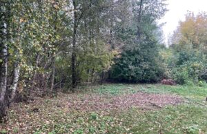 Громада на Волині віддає комунальні ділянки під забудову Громада-на-Волині-віддає-комунальні-ділянки-під-забудову