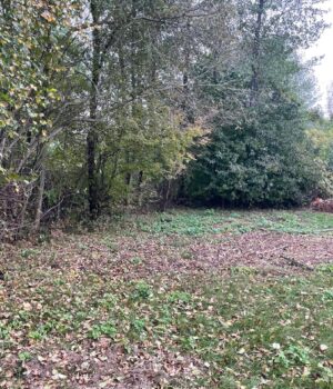 Громада-на-Волині-віддає-комунальні-ділянки-під-забудову