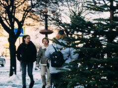 Де у Луцьку здати ялинки після свят Де-у-Луцьку-здати-ялинки-після-свят