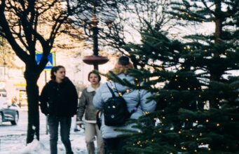 Де у Луцьку здати ялинки після свят Де-у-Луцьку-здати-ялинки-після-свят