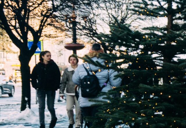 Де у Луцьку здати ялинки після свят Де-у-Луцьку-здати-ялинки-після-свят