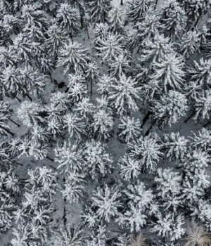 Прогноз-погоди-на 11 січня:-де сьогодні-буде-найхолодніше Прогноз-погоди-на 11 січня:-де сьогодні-буде-найхолодніше