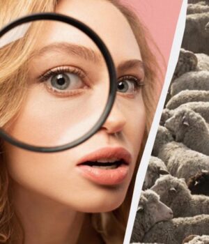 Лише-кожен-третій-зі-100-може-знати-всіх-собак-на-зображенні-за-12-секунд:-складна. Лише-кожен-третій-зі-100-може-знати-всіх-собак-на-зображенні-за-12-секунд:-складна.