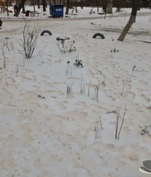 cafdde35c8a6c39e039a304cd3fb9139.webp Школи Одещини перейдуть на дистанційку через негоду до 19 січня