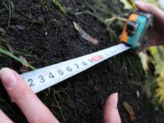 У волинських селах за 400 тис. продають комунальну землю У-волинських-селах-за-400-тис.-продають-комунальну-землю