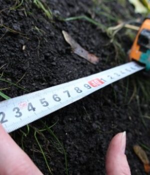 У-волинських-селах-за-400-тис.-продають-комунальну-землю