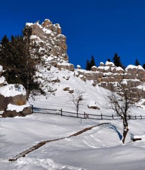 Зимова-Тустань:-казкові-безлюдні-краєвиди,-але-доїхати-самостійно-важко