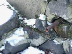 «Колись воду каністрами набирали»: що сталося з Оконськими джерелами на Волині «Колись-воду-каністрами-набирали»:-що-сталося-з-Оконськими-джерелами-на-Волині