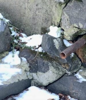 «Колись-воду-каністрами-набирали»:-що-сталося-з-Оконськими-джерелами-на-Волині