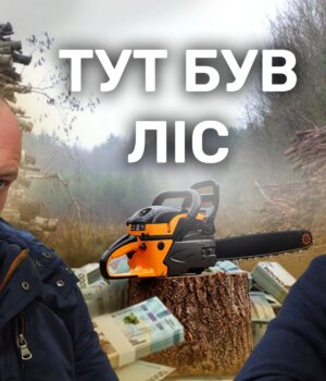 Гроші-vs-ліс:-чому-на-Волині-сільрада-роздала-50-гектарів-держлісфонду