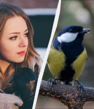 Свято-і-звичаї-12-січня-2026:-що-ви-повинні-зробити-для-виконання-бажання