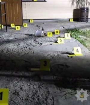 На-Волині-жінка-кинула-на-чуже-обійстя-гранату,-щоб-налякати-пса:-її-судили