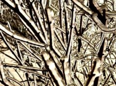 Морози після снігу з дощем. Погода. Чого очікувати найближчими днями? Морози-після-снігу-з-дощем-Погода.-Чого-очікувати-найближчими-днями?