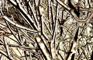 Морози після снігу з дощем. Погода. Чого очікувати найближчими днями? Морози-після-снігу-з-дощем-Погода.-Чого-очікувати-найближчими-днями?