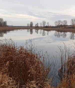 Громада-на-Волині-віддає-в-оренду-ставок-за-117-тисяч.-Фото