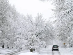 Погода на 12 січня: синоптики попередили про сніг та морози Погода на 12 січня: синоптики попередили про сніг та морози