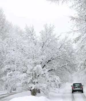 Погода на 12 січня: синоптики попередили про сніг та морози