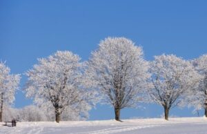 Якою буде погода у вівторок, 13 січня, у Луцьку та на Волині Якою-буде-погода-у-вівторок,-13-січня,-у-Луцьку-та-на-Волині