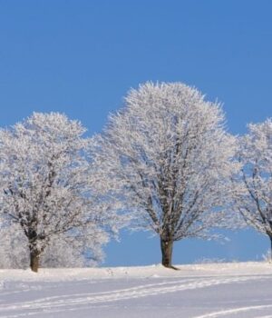 Якою-буде-погода-у-вівторок,-13-січня,-у-Луцьку-та-на-Волині