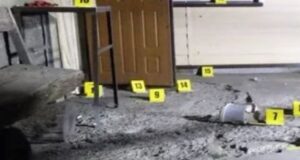 Волинянка кинула гранату у чужий двір, щоб налякати пса: як її покарав суд Волинянка-кинула-гранату-у-чужий-двір,-щоб-налякати-пса:-як-її-покарав-суд