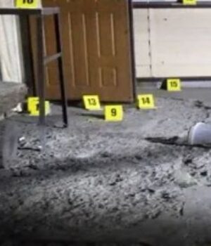 Волинянка-кинула-гранату-у-чужий-двір,-щоб-налякати-пса:-як-її-покарав-суд