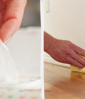 10-речей,-які-ніколи-не-варто-чистити-дезінфікуючими-серветками:-це-просто-небезпечно