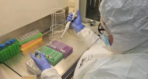 Коли люди почали хворіти на герпес? Науковці знайшли докази віком 2,5 тисячі років Коли-люди-почали-хворіти-на-герпес?-Науковці-знайшли-докази-віком-2,5-тисячі-років