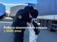 Кінологічні команди торік викрили на Волинській митниці 143 спроби контрабанди Кінологічні-команди-торік-викрили-на-Волинській-митниці-143-спроби-контрабанди