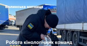Кінологічні команди торік викрили на Волинській митниці 143 спроби контрабанди Кінологічні-команди-торік-викрили-на-Волинській-митниці-143-спроби-контрабанди