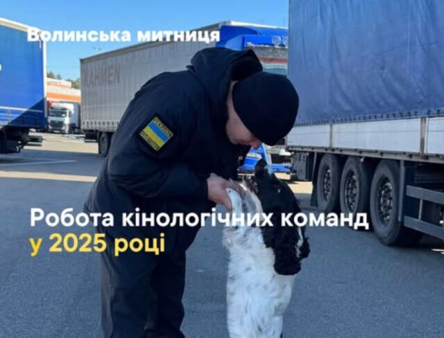 Кінологічні команди торік викрили на Волинській митниці 143 спроби контрабанди Кінологічні-команди-торік-викрили-на-Волинській-митниці-143-спроби-контрабанди