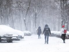 Морози на Волині міцнішають: коли ж нарешті прийде потепління? Морози-на-Волині-міцнішають:-коли-ж-нарешті-прийде-потепління?