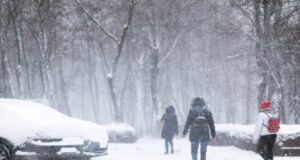 Морози на Волині міцнішають: коли ж нарешті прийде потепління? Морози-на-Волині-міцнішають:-коли-ж-нарешті-прийде-потепління?