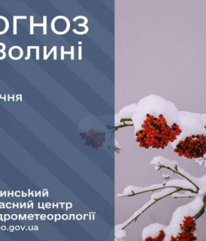 Якою-буде-погода-у-середу,-14-січня,-у-Луцьку-та-на-Волині