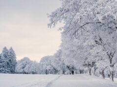 Якою буде погода у четвер, 15 січня, у Луцьку та на Волині Якою-буде-погода-у-четвер,-15-січня,-у-Луцьку-та-на-Волині