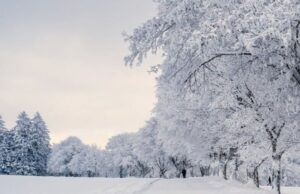 Якою буде погода у четвер, 15 січня, у Луцьку та на Волині Якою-буде-погода-у-четвер,-15-січня,-у-Луцьку-та-на-Волині