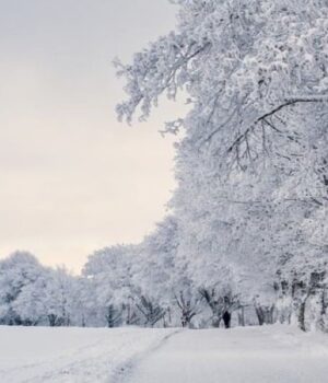Якою-буде-погода-у-четвер,-15-січня,-у-Луцьку-та-на-Волині
