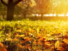 Минулий рік був третім найтеплішим роком за час спостережень, – кліматологи Минулий-рік-був-третім-найтеплішим-роком-за-час-спостережень,-–-кліматологи