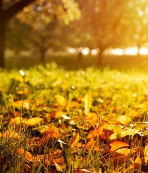 Минулий-рік-був-третім-найтеплішим-роком-за-час-спостережень,-–-кліматологи