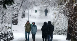 Синоптики попереджають про мороз до -20° та сніг: погода на 15 січня Синоптики попереджають про мороз до -20° та сніг: погода на 15 січня