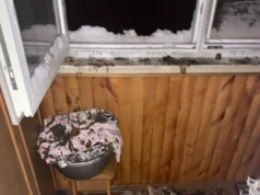 На Київщині газовий балон травмував двох мешканців квартири На Київщині газовий балон травмував двох мешканців квартири