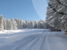 Якою буде погода на Волині у п’ятницю, 16 січня Якою-буде-погода-на-Волині-у-п’ятницю,-16-січня