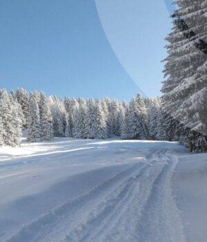Якою-буде-погода-на-Волині-у-п’ятницю,-16-січня