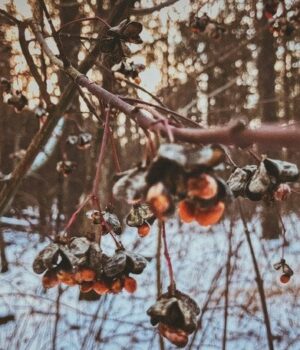 День-ангела-16 січня:-кого-та як вітати-з іменинами