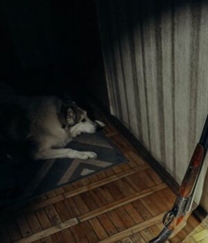 У-Луцьку-затримали-чоловіка,-який-стріляв-у-невістку-і-онука