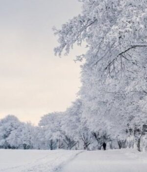 Якою-буде-погода-у-суботу,-17-січня,-у-Луцьку-та-на-Волині