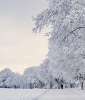 Якою-буде-погода-у-неділю,-18-січня,-у-Луцьку-та-на-Волині