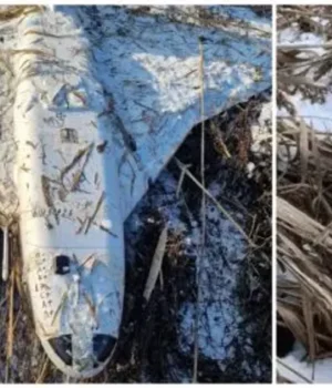 У-Молдові-виявили-російський-дрон-"Гербера":-МЗС-країни-виступило-із-засудженням