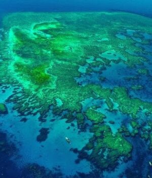 Учені-виявили-фрагмент-тектонічної-плити:-він-зник-із-поля-зору-близько-30-млн-років-тому